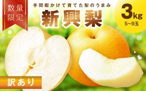 【先行予約／数量限定100】訳あり 新興梨　3kg（2026年10月中旬～発送）ふるさと納税 訳あり フルーツ くだもの 国産 梨 新興梨 わけあり 訳有り ワケアリ 先行予約 ふるさと納税 梨　FK00036