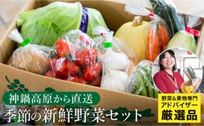 「高原の畑から直送」神鍋高原 季節の新鮮お野菜 詰め合わせセット 充実の5～10品｜ベジタブル＆フルーツアドバイザーがセレクト【兵庫県北部豊岡市にある「道の駅神鍋高原」からお届けします】