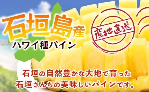 【先行予約】《2026年6月上旬頃より順次発送》石垣島産 ハワイ種 パイン (4玉 約4㎏) 【 産地直送 沖縄 石垣 パイナップル フルーツ 】石垣さんちの石垣トロピカルファーム TP-5