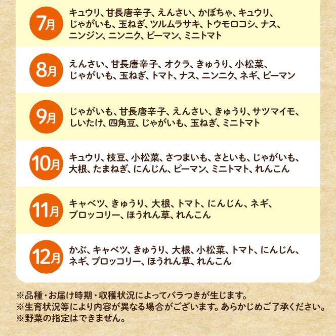 【毎月お届け】むなかた旬のお任せセット（野菜）7～9品【JAほたるの里】_HB0173