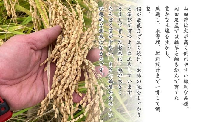 日本酒 純米大吟醸 「お米も一番星 田」 720ml×2本 化粧箱入り 酒 お酒 清酒 山田錦 アルコール ギフト プレゼント