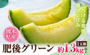 肥後グリーンメロン 1玉 熊本 株式会社エフビーネット《4月上旬-7月上旬頃出荷》熊本県 氷川町 果物 フルーツ 熊本県産 メロン 肥後グリーン めろん---hkw_26_efb_2_1t---