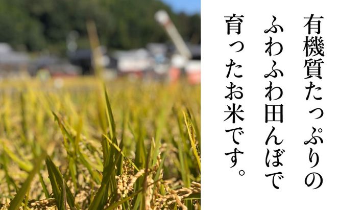 瀬戸内市のおいしい お米 「ひのひかり」 10kg（5kg×2袋）岡山県 瀬戸内市産 石黒農園 ご飯 銘柄米 炭水化物 白米 ライス 主食 和食 おにぎり お弁当 産地直送 
