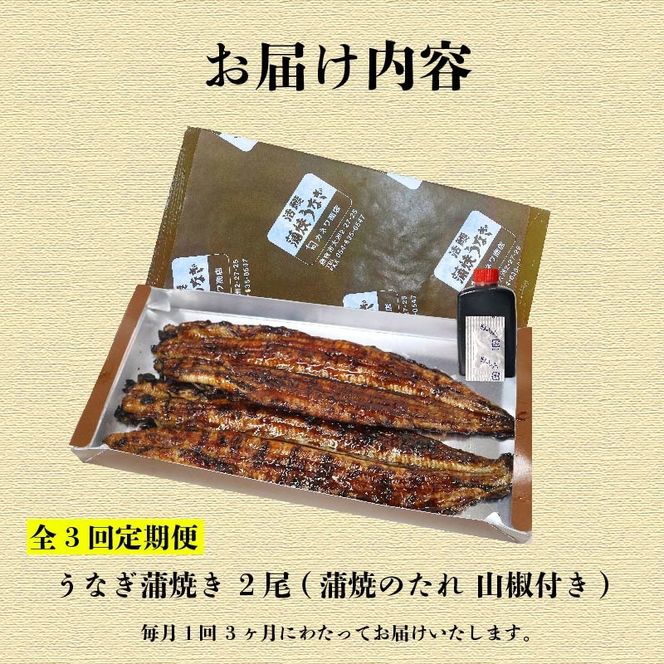 【全3回定期便】うなぎ 蒲焼 大姿焼き 2尾 (140g×2) 定期便 鰻蒲焼 ウナギ かばやき 土用 丑の日 活鰻 自家製蒲焼 たれ 山椒 ギフト 贈答 冷蔵 まとめ買い 静岡県 藤枝 ふるさと人気 [PT0192-010000]