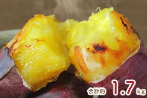 ★訳あり★紅はるか冷凍焼き芋約1.5kg＋おまかせ品種さつまいも　合計約1.7kg｜さつまいも サツマイモ さつま芋 焼き芋 やきいも 冷凍 冷凍焼き芋 訳あり 訳アリ 紅はるか 茨城県 行方市(EY-26)