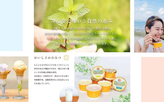 うるまジェラート　12個セット