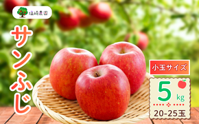 【先行予約】サンふじ 小玉 約5kg (20〜25玉）（2025年12月中旬から発送）りんご サンふじ 限定 直送 小玉 好評 (7-A42-2)
