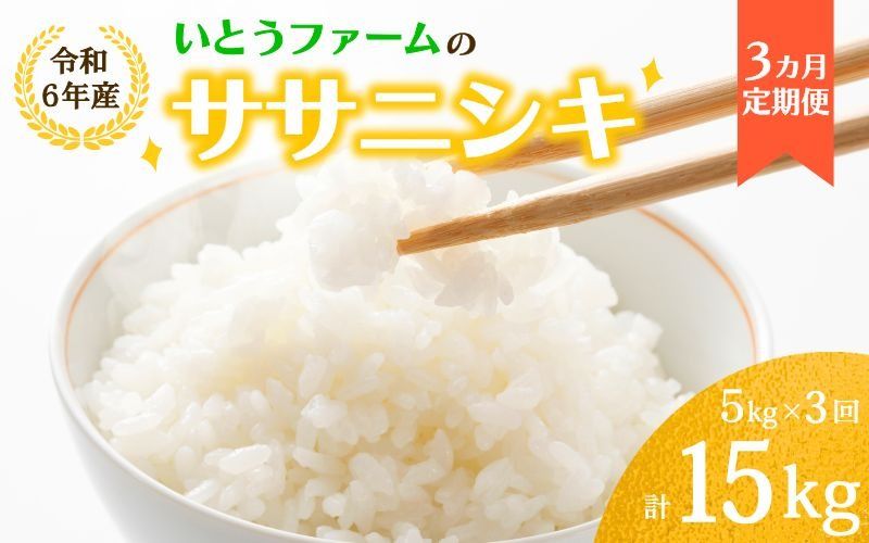 [3ヶ月定期便]いとうファームの 令和6年産「ササニシキ」5kg×3回 計15kg / 米 お米 精米 白米 ご飯 米定期便 産地直送 [itofarm012]