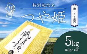 米シスト庄内 庄内平野、風と暮らす つや姫5kg 特別栽培米 令和7年産 2025年産 ブランド米 コシヒカリの原点、亀の尾発祥の地 庄内