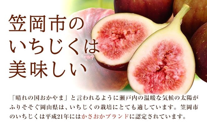 ドレッシング いちじく生フレンチドレッシング 300g × 1本《30日以内に出荷予定(土日祝除く)》キッチンラボ101 サラダ いちじく ドレッシング フレンチドレッシング 岡山県 笠岡市---K-41---