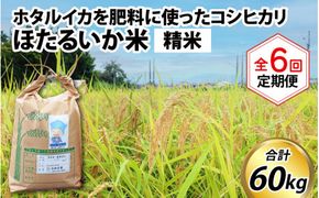 ほたるいか米（精米10kg）×6回 計60kg【6ヶ月定期便】