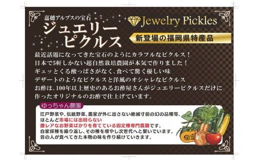 四季を楽しむ 嘉穂アルプスの宝石 ジュエリーピクルス 2種食べ比べ 約220g×2瓶 計440g