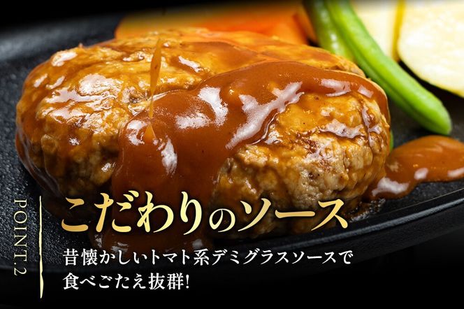 《定期便8ヶ月》ドドンと3.2kg！昔懐かしいデミグラスソースハンバーグ (160g×20個)×8回 肉 洋食 簡単 大容量 湯煎 湯せん 個包装 [大容量 ハンバーグ 肉 おかず 惣菜 個包装 簡単 湯せん 洋食 湯煎 個別包装 小分 お弁当 便利 お試し]|06_thm-040608