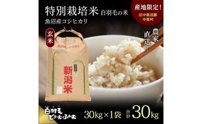 【通年受付】≪令和8年産≫ 農家直送！魚沼産コシヒカリ特別栽培「白羽毛の米」玄米(30kg×1袋) 30kg お米 ご飯 安心