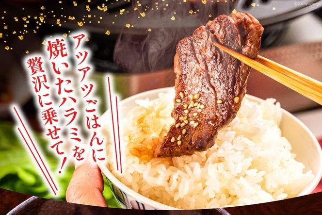 大人気！特製タレ漬 牛ハラミ 計900g (300g×3p) [モ～ランド 宮城県 気仙沼市 20564312] 牛肉 肉 焼肉 ハラミ はらみ サガリ タレ BBQ おすすめ 焼き肉 焼肉セット 焼肉用 小分け 冷凍