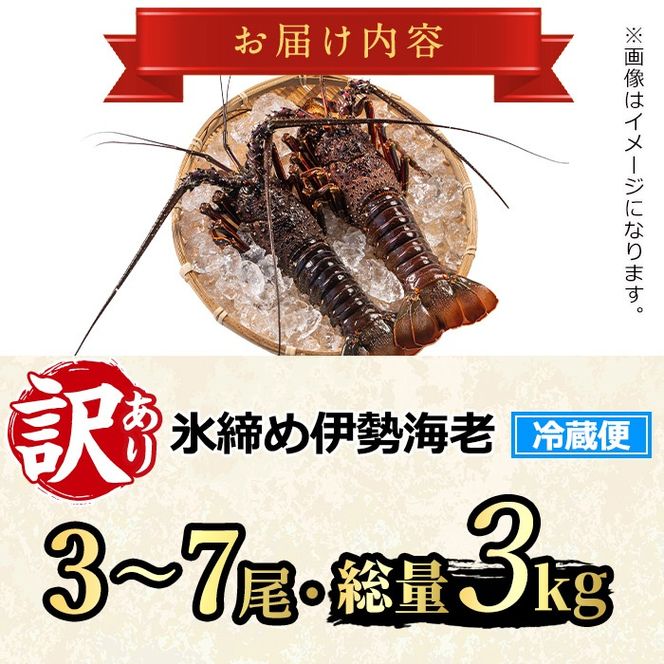 【1023210a】＜訳あり＞朝獲れ発送！鮮魚問屋が厳選した氷締め伊勢海老(3～7尾・総量3kg以上) 伊勢エビ 伊勢えび 刺身 さしみ えび 海老 魚介類 海鮮 刺身 塩焼き 訳あり 訳アリ 【江川商店】