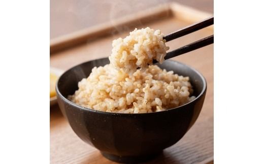 ※選べる内容量・精米種別※【令和8年産】川南町産  永友農園「夏の笑み」5kg/10kg/15kg　【 新米 米 お米 玄米 白米 国産 宮崎県産 国産米 】ⅡⅧ [B10605 B10606 B10607 B10608]