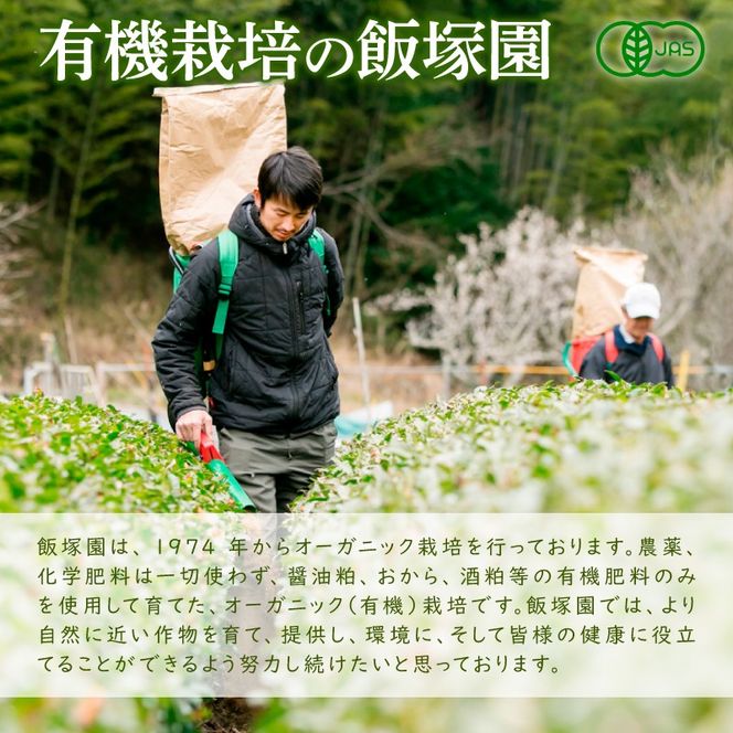 煎茶 茶葉 深蒸し茶 500g オーガニック やぶきた 有機 緑茶 甘み 渋み お茶 茶 国産 静岡県産 静岡産 飯塚園 静岡県 藤枝市