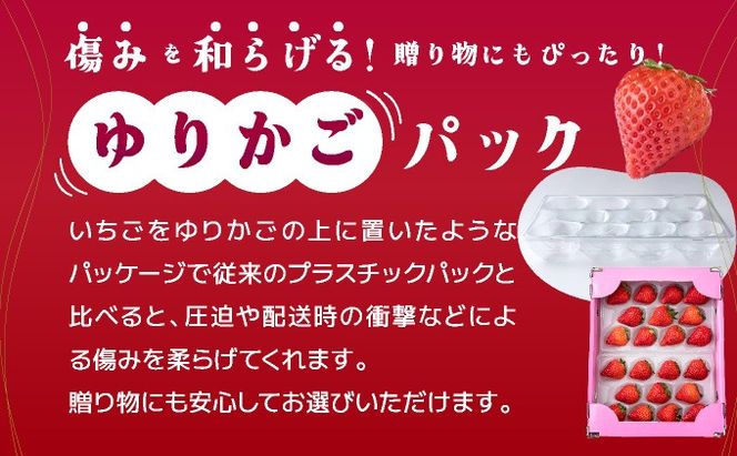 《先行予約・数量限定》あまい果汁溢れる最高級品質「さがほのか」約1kg（235g×4p）