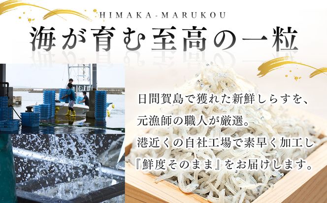 日間賀島 釜揚げ しらす 1kg 天然 塩 愛知県 南知多町 冷凍 ご飯 ごはん パスタ サラダ ピザ 丼 料理 国産 パーティー 魚 さかな シラス ミネラル 人気 おすすめ