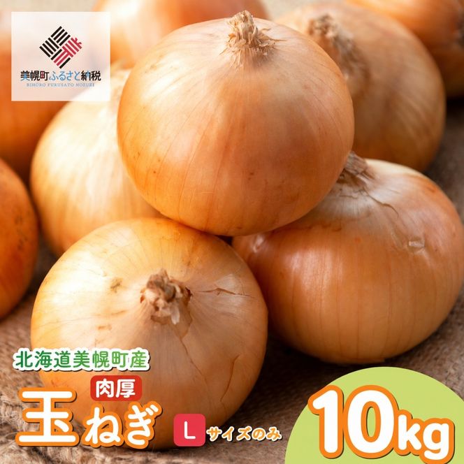 【令和8年産 先行予約】玉ねぎLサイズ・10kg（2026年10月上旬より順次発送）