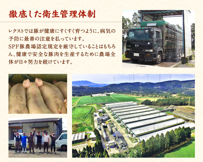 【6回定期便】豚肉 宮崎県産 いもこ豚 小間切れ 1.5kg 計 9kg 定期便 6回 しゃぶしゃぶ 小分け 豚 スライス 薄切り こま切れ 細切れ こまぎれ 豚丼 国産 九州産 宮崎 ブランド 冷凍 送料無料