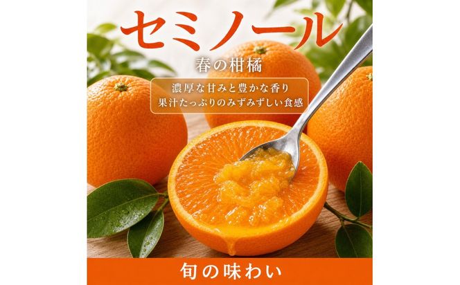 【先行予約】 セミノールオレンジ 約5kg ジューシー柑橘 和歌山県産