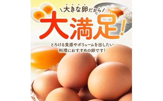 ※回数が選べる※宮崎県産鶏卵　「南国からの贈り物」大きな卵40個入り（35個+破損補償5個） 【たまご 卵 玉子 タマゴ】 [C01401]