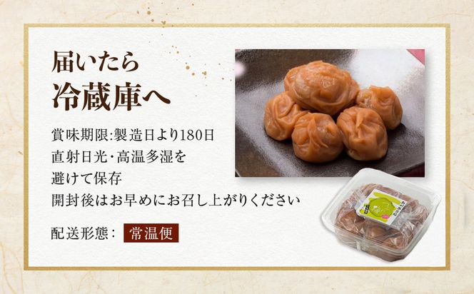 【定期便・2ヵ月毎 全5回】ご家庭用 紀州南高梅 うす塩 つぶれ 550g×2 ［YM15］ 303446_DX90031