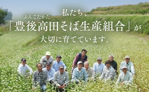 0C1-158 【12/17～28配送】R8秋新そば 豊後高田なまそば（100g×8食・つゆ付）  