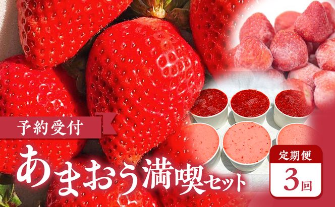 【2027年3月上旬より発送開始】【予約受付・3回定期便】あまおう満喫セット ※配送不可：北海道・沖縄県・離島