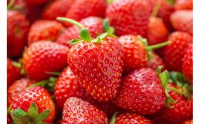 こだわり栽培　いちご　【食べ比べ】　おいCベリー（1pac) x　ゆめのか(1pac)【2025年12月～2026年4月末までお届け】 232238_DS010