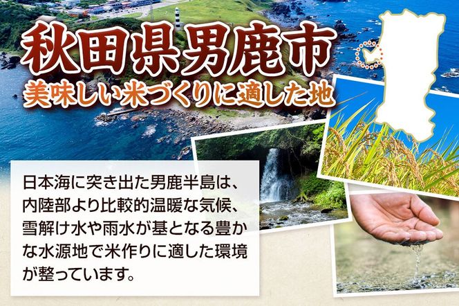 《令和8年産新米受付》 あきたこまち 精米 10kg（5kg×2袋） スズキファーム 秋田県 男鹿市 [新米 精米 白米 米 あきたこまち ブランド米 食卓 お弁当 おにぎり秋田県 男鹿市 精米 白米 米 あきたこまち ブランド米 食卓 お弁当 おにぎり秋田県 男鹿市]|23_szf-011001s