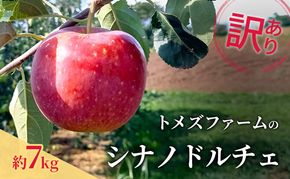 シナノドルチェ（訳あり） 約7kg　トメズファーム　りんご　長野　信州　小諸　果物　フルーツ