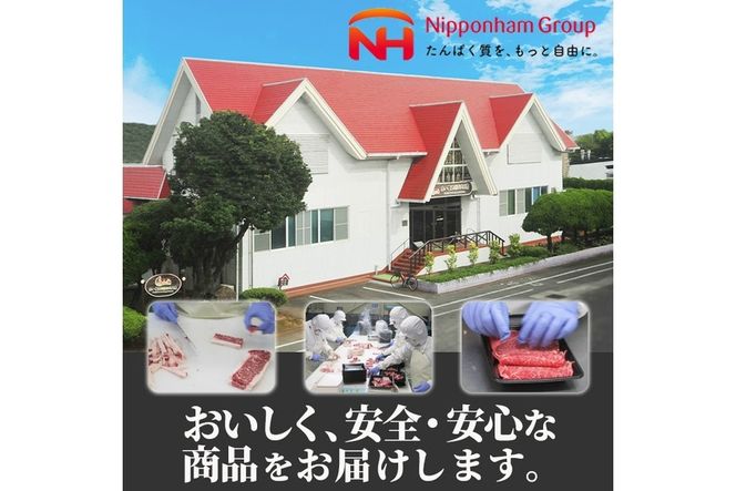 宮崎牛 ワンポンド ステーキ(約454g×1枚)A4 A5 牛肉 精肉 お肉 ロース ブランド和牛 黒毛和牛 焼肉 BBQ バーベキュー 冷凍 国産【P-27】【南日本フレッシュフード株式会社(日本ハムマーケティング株式会社)】