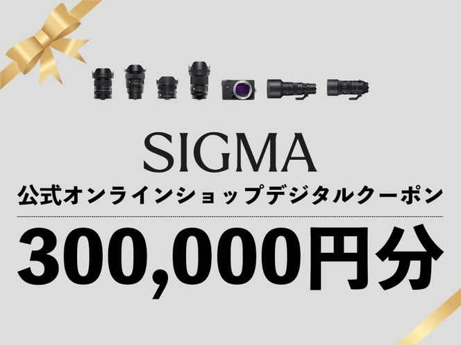 y֒򒬁zVO} SIGMA  ICVbv@JEY wN[|i300,000~j