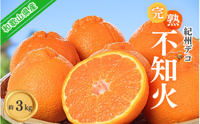 果肉プリプリ♪　完熟紀州デコ(不知火) 約3kg デコポンと同品種 ＜2026年2月下旬頃〜2026年3月中旬頃発送＞ / 不知火 しらぬい デコポン みかん 柑橘 フルーツ 果物 和歌山県産【uot706A】