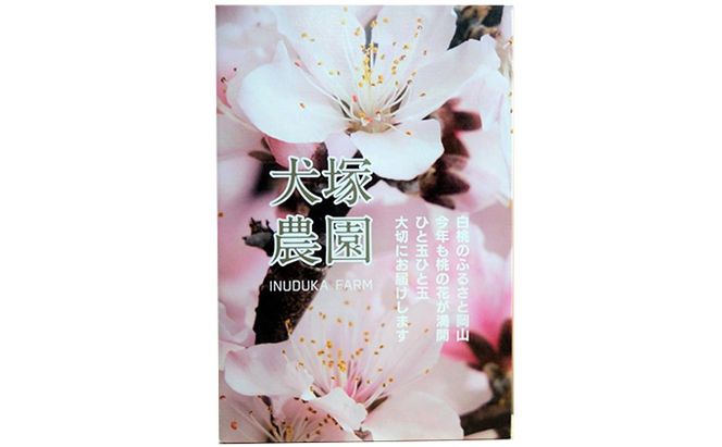 固めの桃 2026年 先行予約 贈答用 岡山の 白桃（晩生種）約1.7kg 4～6玉 岡山県 フルーツ もも 桃 モモ ピーチ 人気 新鮮 フルーツ 桃 フルーツ もも 桃 ギフト くだもの 桃 もも 果物 フルーツ 桃 もも 