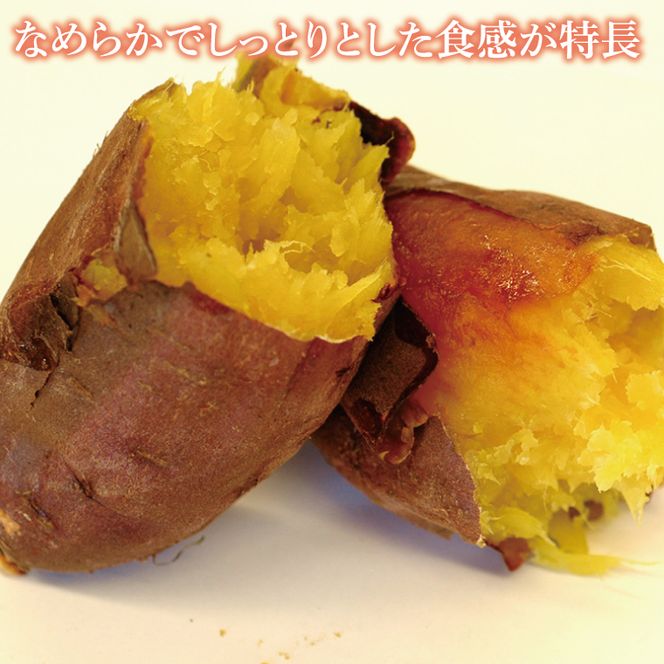 【2027年2月より順次発送】【行方かんしょ】『天皇杯受賞』JA「紅まさり」さつまいも 約10kg｜さつまいも サツマイモ さつま芋 お芋 紅まさり 行方かんしょ 先行予約 茨城県 行方市(AE-99)