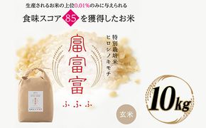 富山県ブランド米 富富富 玄米 10kg ふふふ ブランド米 国産 米 お米 日本米 ギフト 贈り物 備蓄 防災 食品 陽咲玲 はるざれ F6T-1013