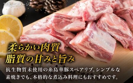 【全3回定期便】【 バーベキュー ・ 煮込み用 】約2.4kg 糸島華豚 スペアリブ 糸島市 / 糸島ミートデリ工房 [ACA332]