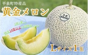 【令和7年度分予約受付】平泉黄金メロン 1玉 Lサイズ 約1.5㎏ 【2025年8月下旬以降より発送】/ メロン マスクメロン 果物 くだもの フルーツ 甘い 旬 産地直送 予約 先行予約【gmk514-l-1d5kgx1A】