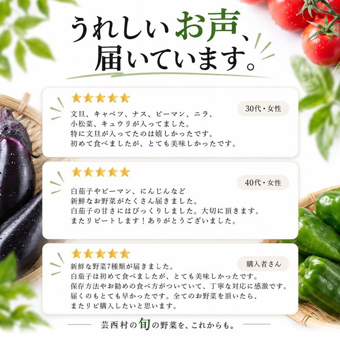 【CF-R7hbk】朝どれ！野菜の詰合せ／芸西村で採れた新鮮な野菜6～8種類をお届けします。