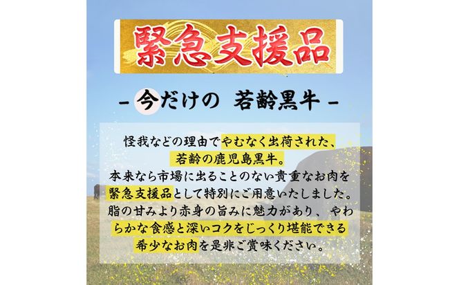 【緊急支援品】【訳あり】黒毛和牛万能切り落とし肉 計1kg（500g×2P）a2-141