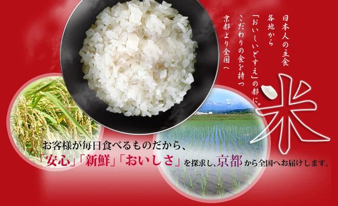 令和7年産 新米 京都丹波産こしひかり 5kg×2 計10kg ※米食味鑑定士厳選 ※精米したてをお届け【京都伏見のお米問屋が精米】※沖縄本島・離島への配送不可 ※2025年11月上旬頃より順次発送予定 | 米 白米 こめ コメ 精米 コシヒカリ ごはん ご飯 お米 こめ おこめ 白米 精米 国産 白飯 ゴハン 米食味鑑定士厳選 送料無料  京都府 京都市 261009_B-CE11