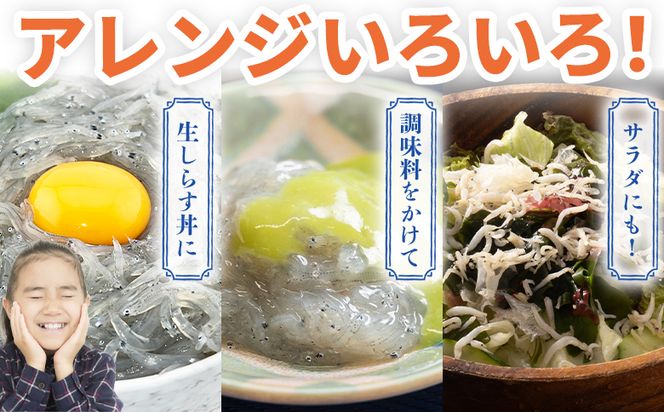 生しらす 6パック 計420ｇ 小分け 特製タレ付 国産 早い 特選 特製タレ付 料理 アレンジ しらす シラス 生シラス 稚魚 魚介 魚 海産物 鮮度抜群 瞬間冷凍 やみつき ごはんのお供 fa-0007