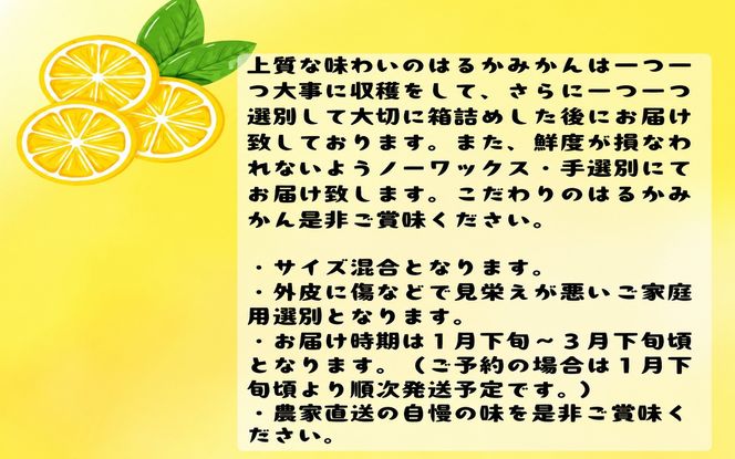 ＜1月下旬～＞【先行予約】【人気柑橘】有田育ちの はるか みかん（訳あり 家庭用）約7.5kg+200g(傷み補償分)　※2027年1月下旬～3月下旬に順次発送予定【ard252A】