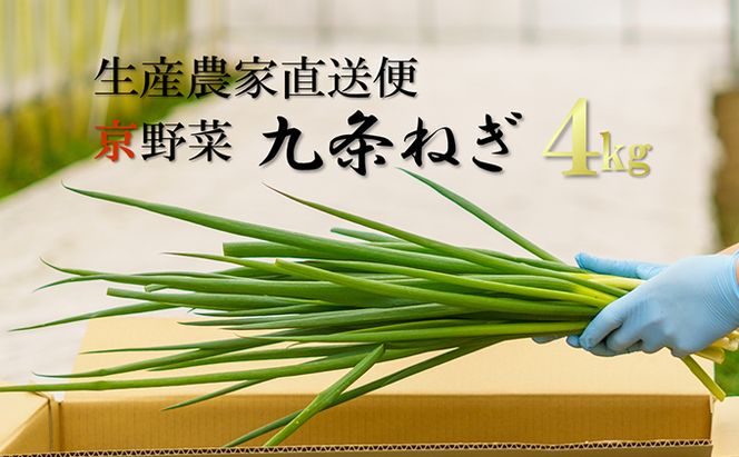 生産農家直送 京野菜・九条ねぎ4kg〈ねぎ ネギ 葱 九条ねぎ 京野菜 京都 新鮮 甘い 農家直送 野菜〉 