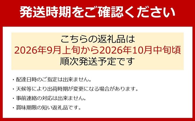 農家直送 朝採り シャインマスカット 約3kg ［2026年・先行予約］	AO058 