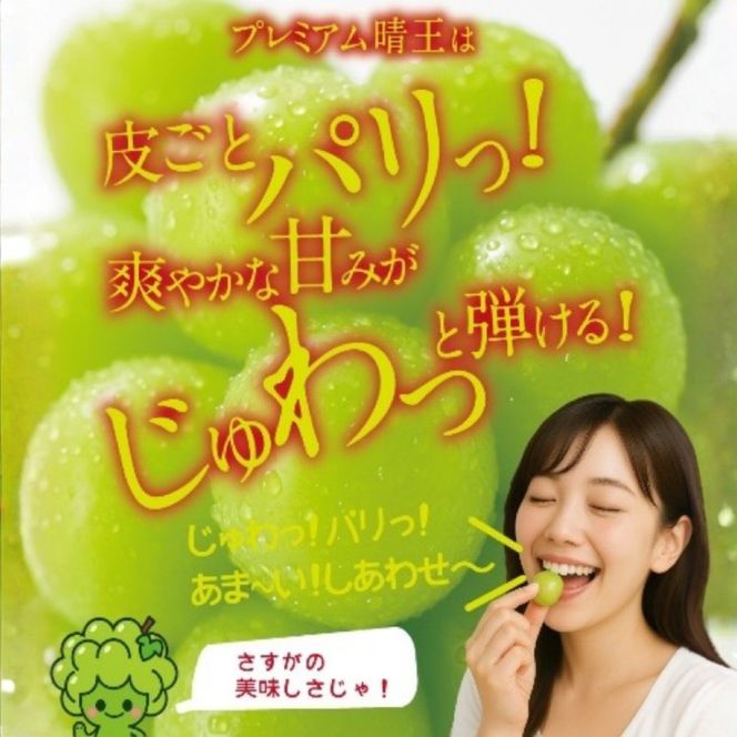 【2回定期便】木熟ぶどう ハレノシャイン シャインマスカット プレミアム 晴王 １房( 800g以上)2回お届け | シャインマスカット 晴王 ハレノシャイン 木熟ぶどう プレミアム 800g以上 1房 岡山県産 ぶどう 葡萄 大房 高糖度 甘い 種なし 皮ごと食べられる フルーツ 果物 人気 産地直送 寄付金額
